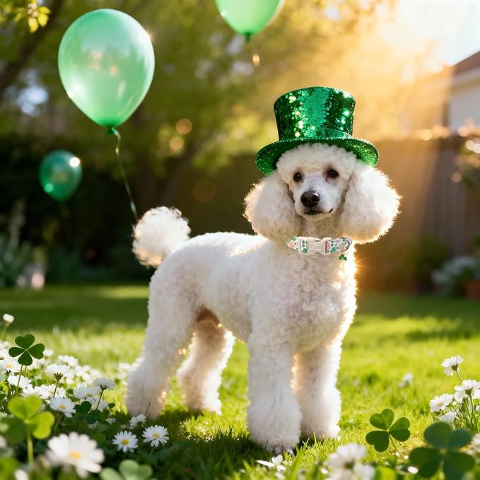 St Patricks Day Dog Collar for Giant Large Dogs - Cute Pastel Lucky Clover Dog Collars, Lightweight Adjustable Irish Green Festival Dogs Collars with Quick Release Buckle XL