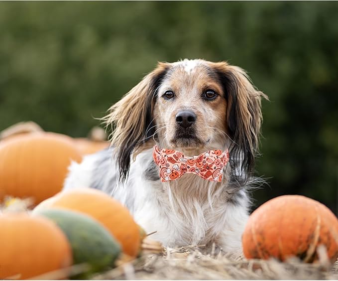 Halloween Dog Collar, Pet Collar Dog Bow Pumpkin Girl Boy Holiday Pet Collar Gift Cute Soft Puppy Collar for Medium Dogs