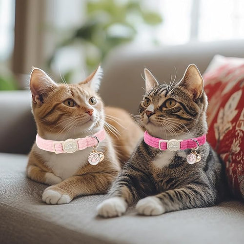 2 Pack Corduroy Cat Collars - Cute Breakaway Cat Collar with Bell and Paw Pendant, Soft Adjustable Fall Winter Kitten Collars for Girl Boy Cats, Pink&Deep Pink