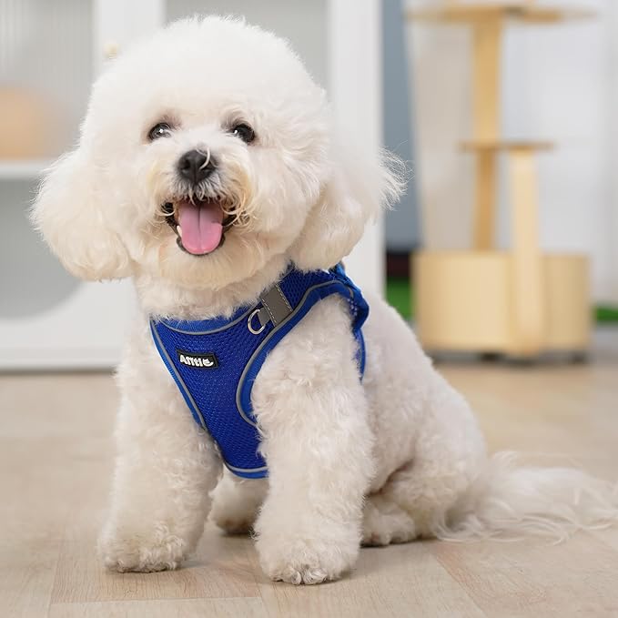AIITLE Small Harness for Puppy with A Leash - Dog Vest Harness with Super Breathable Mesh, Reflective No-Pull Pet Harness for Outdoor Walking, Running for Small Dogs, Cats Royal Blue XXS