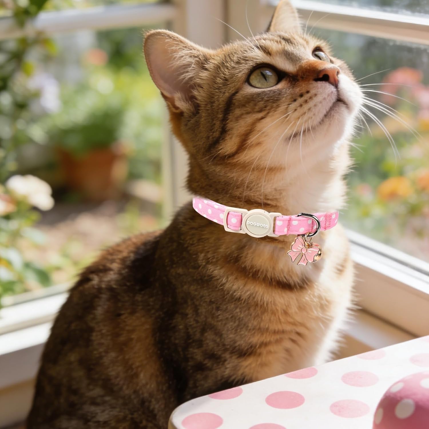 2 Pack Pink Purple Polka Cat Collars Breakaway with Bell, DOGWONG Safety Buckle Cat Collar for Girl Boy Cats and Small Dogs，Adjustable 7-12 Inch,Pet Supplies Accessories