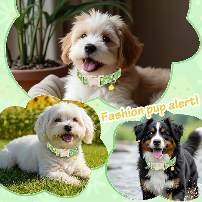 Easter Dog Collar for Medium Dogs, Easter & Spring Theme Mediuml Dog Collar with Cute Chick Hatching Pattern, Adjustable Easter Dog Collars Girl Boy Collar for Dogs -M