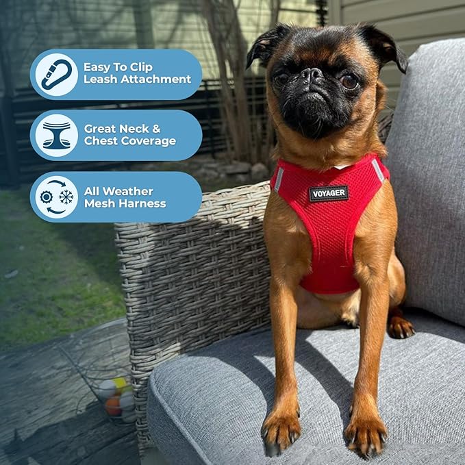 Best Pet Supplies Voyager Step-in Air All Weather Mesh Harness and Reflective Dog 5 ft Leash Combo with Neoprene Handle, for Small, Medium and Large Breed Puppies - Harness Leash Set (Red), XS