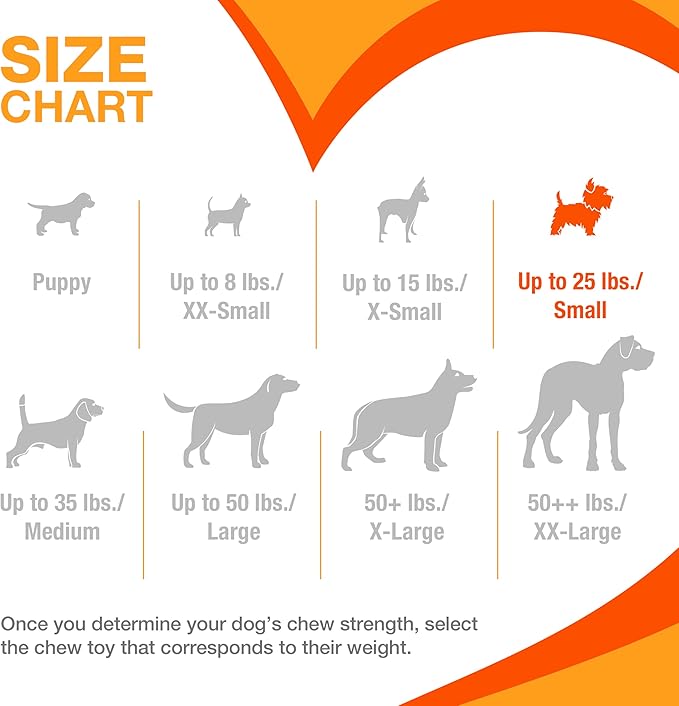 Nylabone Textured Bone Power Chew Toy for Dogs, Durable & Tough Dog Toys for Aggressive Chewers, Beef Jerky Flavor, Small Dogs - Up to 25 Ibs, 1 Count