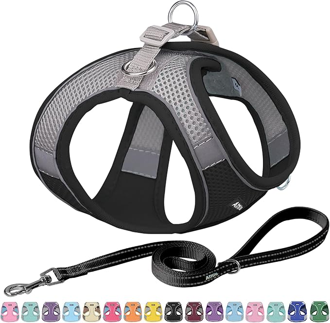 AIITLE Small Harness for Puppy with A Leash - Dog Vest Harness with Super Breathable Mesh, Reflective No-Pull Pet Harness for Outdoor Walking, Running for Small Dogs, Cats Black XXS