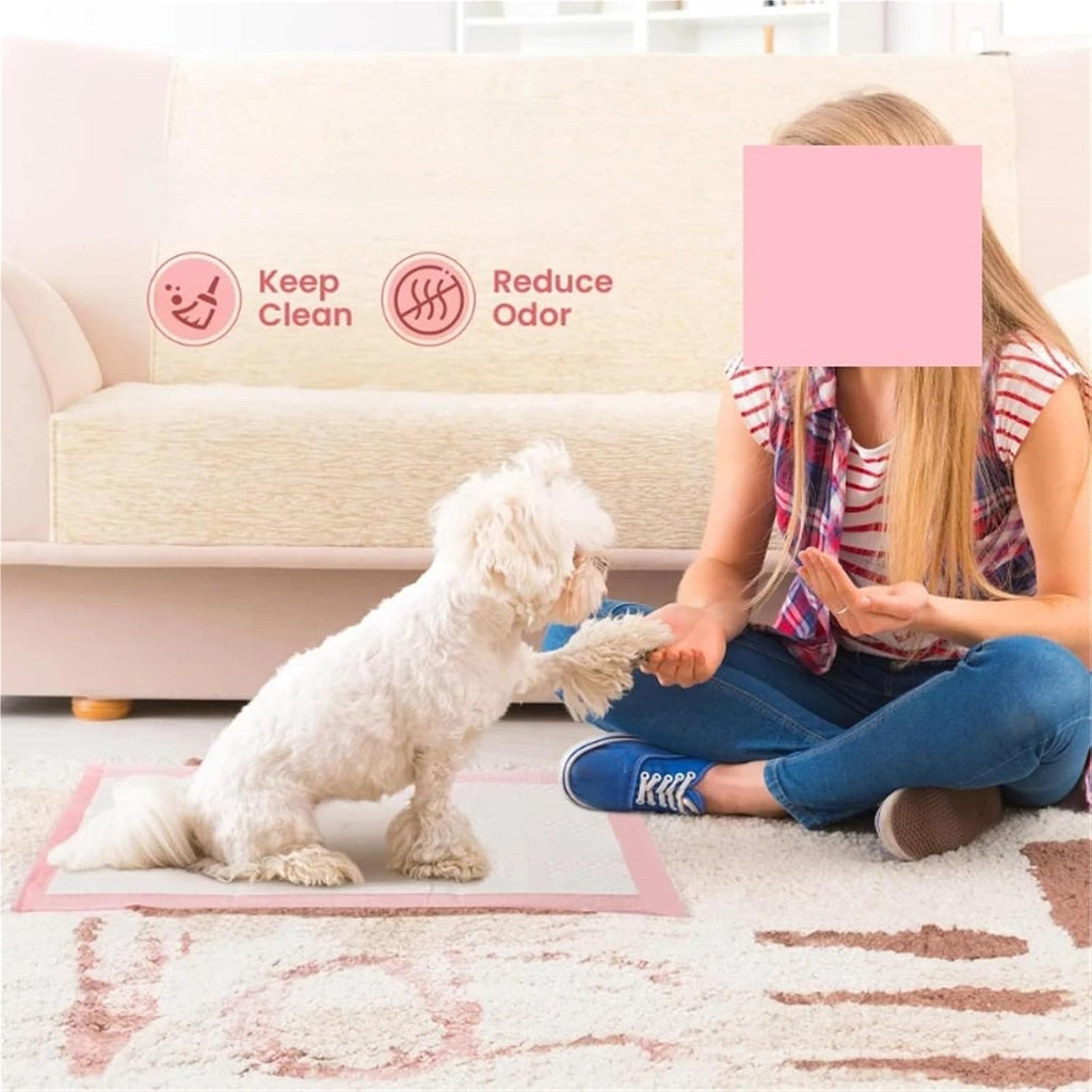 Dog Pee Pads Triple Thickness Super Absorbent Leak-Proof Odor Control | Upgrade triple-layer design for max absorbency, leak-proof, quick-dry, and odor control for dogs, cats, rabbits(10PCS)