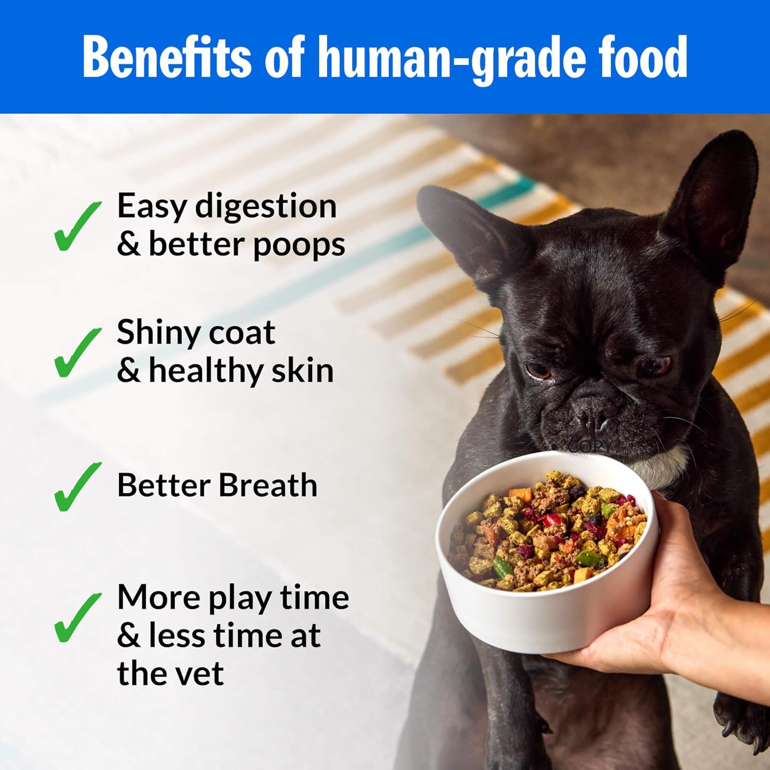 PetPlate Trail Blazin' Beef FreshBaked Dry Dog Food Grain-Inclusive, Gently Baked and Air-Dried Human Grade Dog Food, Formulated with Prebiotics and Postbiotics, No Fillers or by-Products, 2lbs