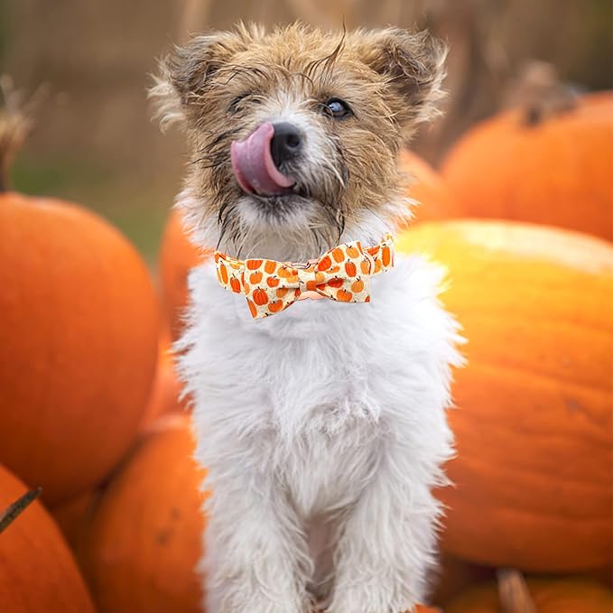 Dog Collar - Halloween Pumpkin Bowtie Dog Collar Gift Soft Bow Collar Pet Adjustable Metal Buckle Dog Collar for Large Dogs