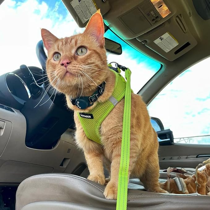 Best Pet Supplies Voyager Step-in Air Harness - All Weather Mesh, Reflective, No Pull Harness for Dogs, Cats - Secure with Hook & Loop Fastener, Buckle, Double D-Rings - Lime Green, M