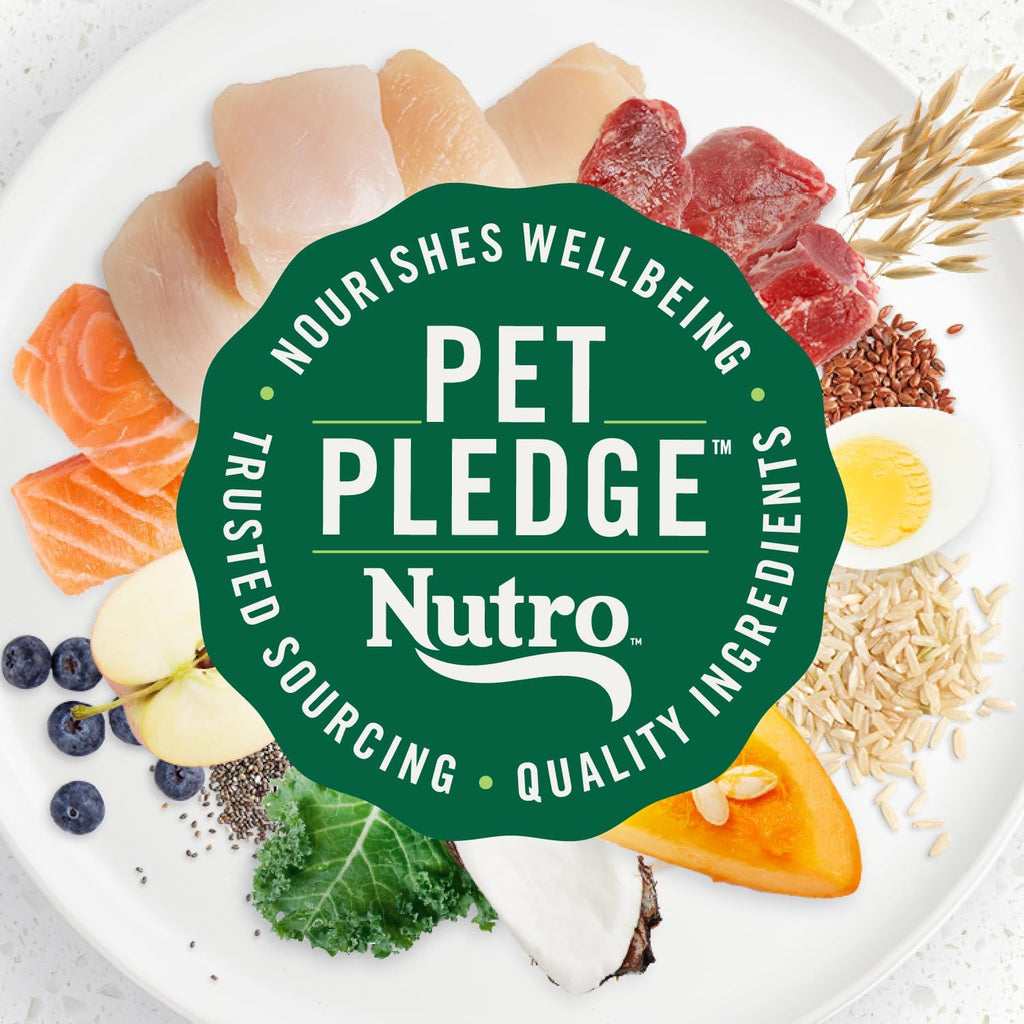 Nutro Ultra Small Breed Adult Dry Dog Food, Chicken, Lamb & Salmon, 3.5 lb | High-protein trio, Non-GMO, no corn, wheat, soy, 14 superfoods blend, Omega 3 & 6 fatty acids, essential antioxidants