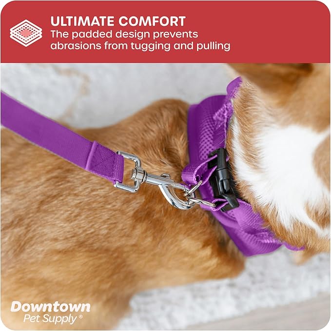 Downtown Pet Supply Step-in Dog Harness – No Pull, Adjustable Padded Mesh with Reflective Trim, Secure Buckle Strap – Comfortable & Breathable Small Dog Harness, X-Small, Purple