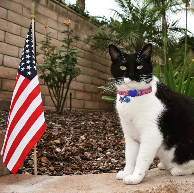 BoomBone Patriotic Cat Collar Breakaway with Bell and American Flag Charm,Puppy Collars for Small Dogs