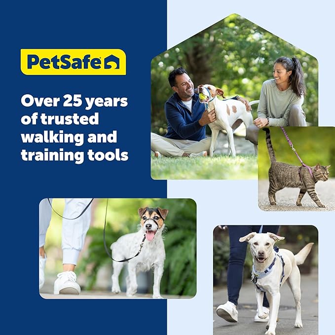 PetSafe KeepSafe Collar for Dogs - Protects Against Collar Accidents - Long Lasting - Durable - Adjustable - Breakaway - Outdoor-Safe - Small - 3/4 In. Wide - Red