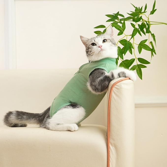 Cat Recovery Suit Cat Onesie for Cats After Surgery Female Male Spay Kitten Neuter Surgical Bodysuit Post Surgery Cone of Shame Alternative Anti Licking(Green, Medium)
