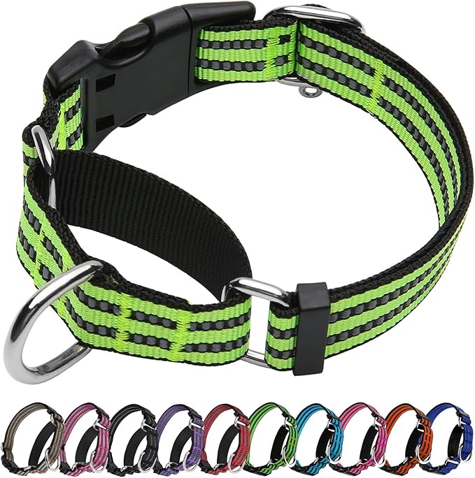 Martingale Dog Collar, Adjustable Nylon Reflective Collar with Buckle No Pull Dog Collar for Small Medium Large Dogs (Lime Green Small)