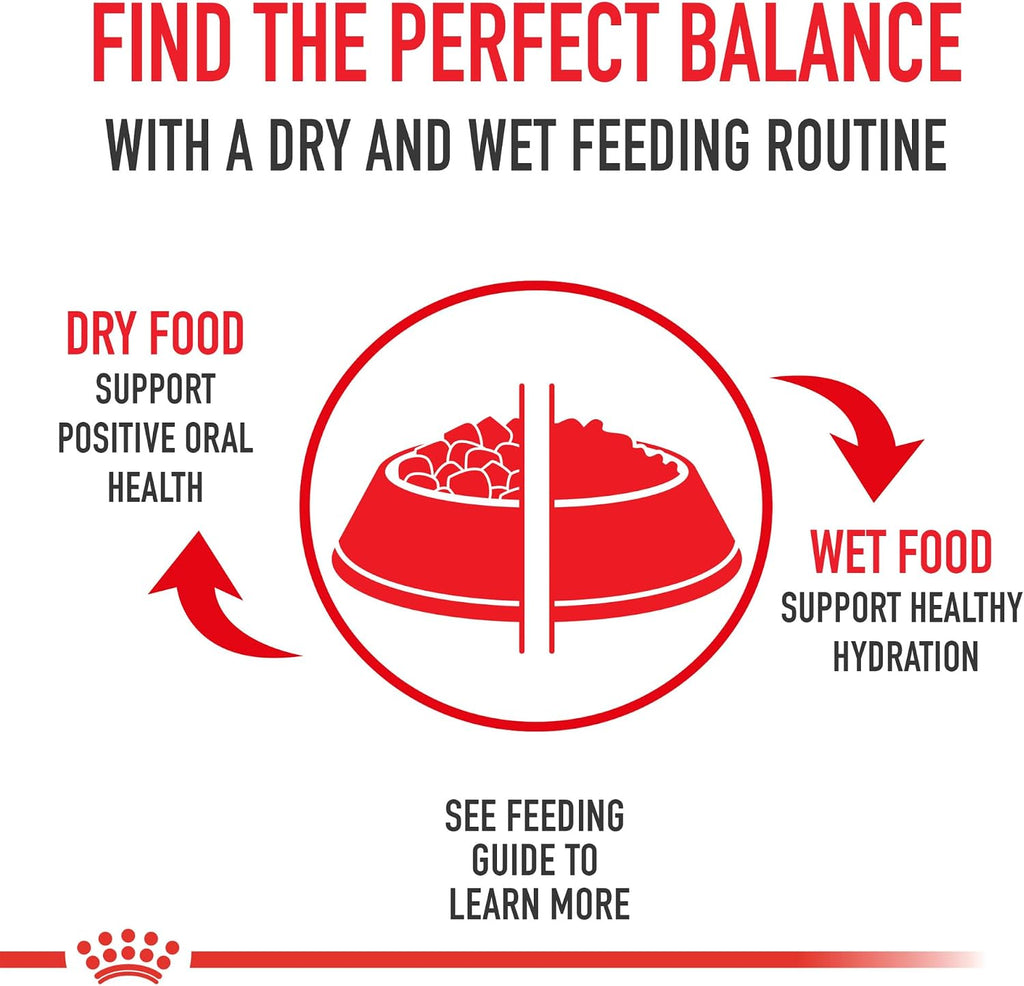 Royal Canin Size Health Nutrition Small Adult Dry Dog Food, 4 lb. Bag