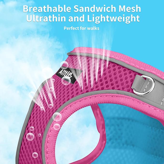 AIITLE Small Harness for Puppy with A Leash - Dog Vest Harness with Super Breathable Mesh, Reflective No-Pull Pet Harness for Outdoor Walking, Running for Small Dogs, Cats Hot Pink XXS