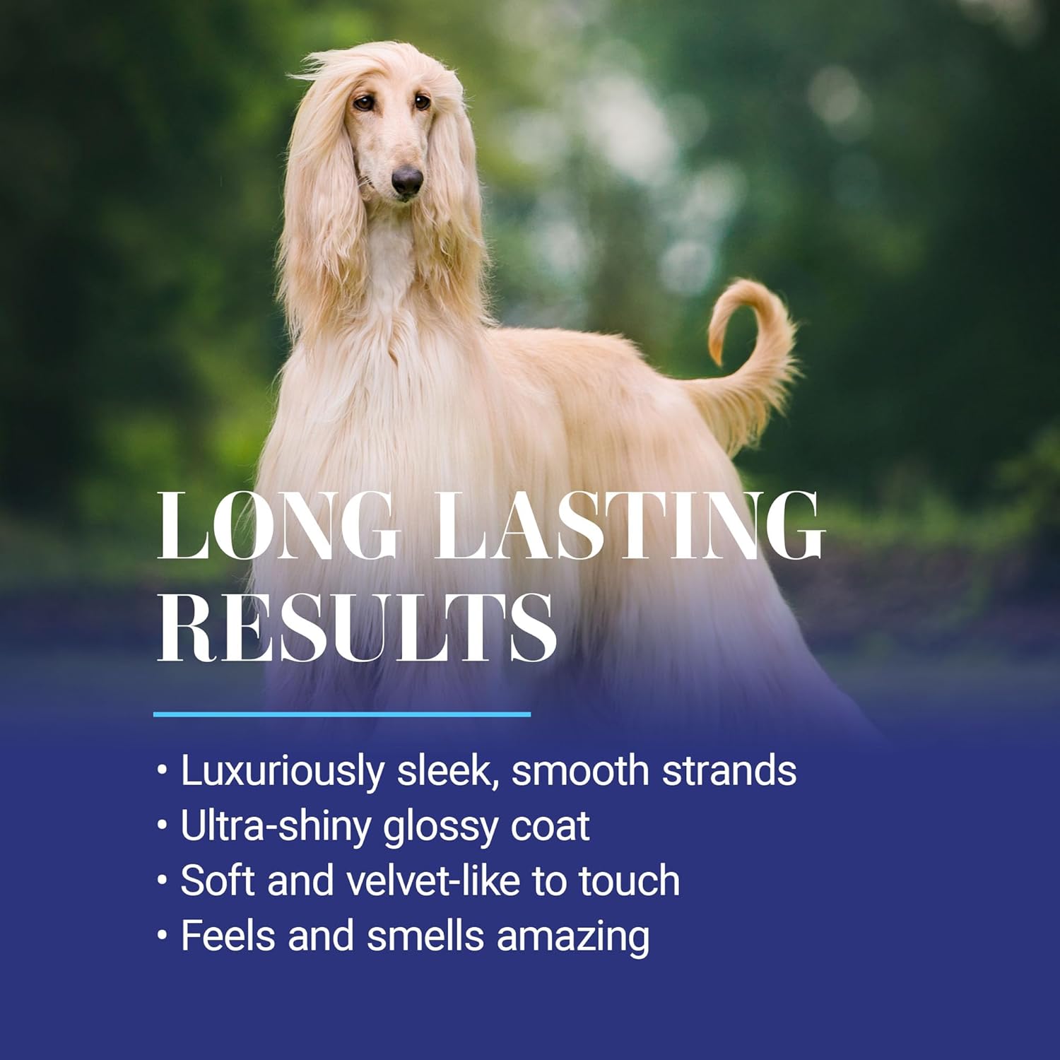 Chris Christensen Ice on Ice Detangling Dog Conditioner, Groom Like a Professional, Dematts, Moisturizes, Creates Long Lasting Silkiness, All Coat Types, Made in USA, 16oz