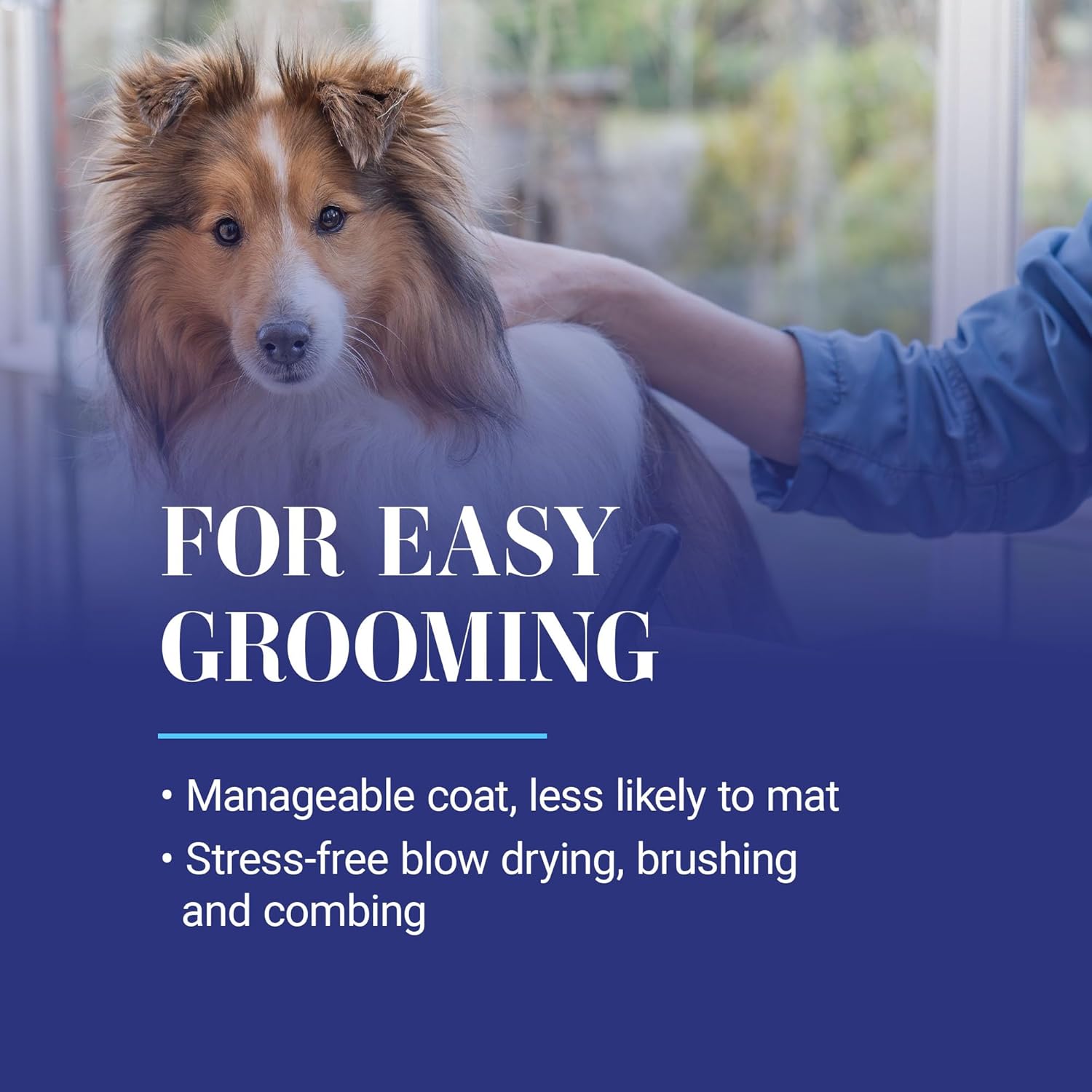 Chris Christensen Ice on Ice Detangling Dog Conditioner, Groom Like a Professional, Dematts, Moisturizes, Creates Long Lasting Silkiness, All Coat Types, Made in USA, 16oz