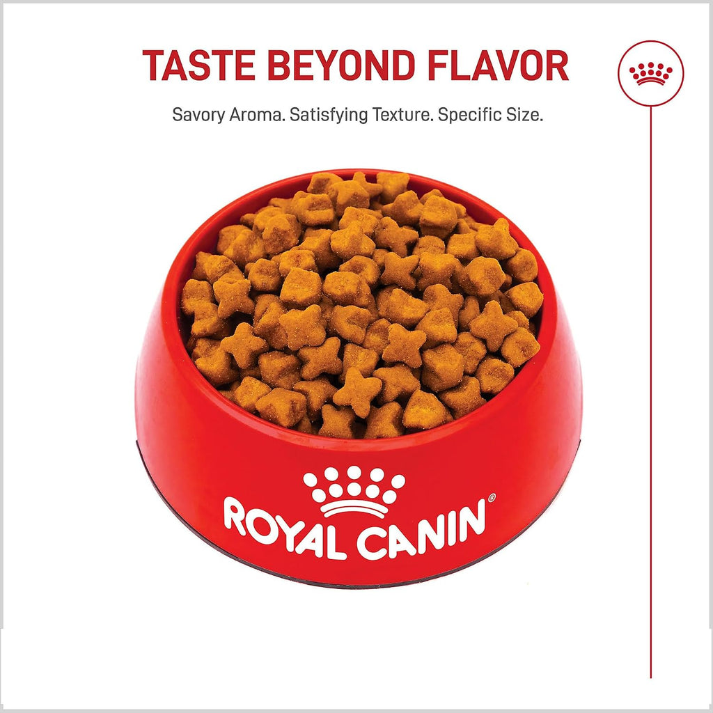 ROYAL CANIN German Shepherd Adult Dry Dog Food, 5 lb Bag | Digestive Health, Skin Health, Bone & Joint Support, For Adult German Shepherds 15+ Months, Specialized Kibble