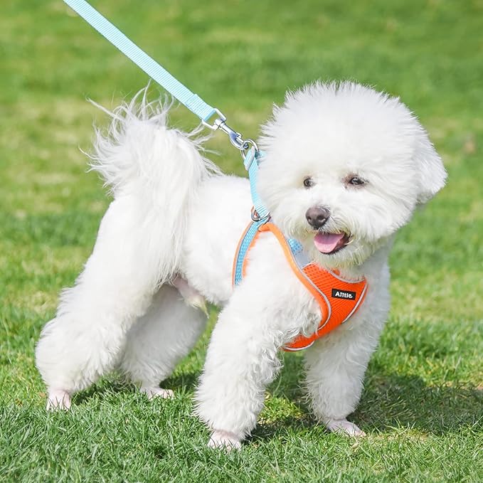 AIITLE Step in Dog Harness and Leash Set - No Pull Escape Proof Vest Harnesses with Soft Mesh and Reflective Bands, Adjustable Pet Outdoor Harnesses for Small and Medium Dogs Orange M