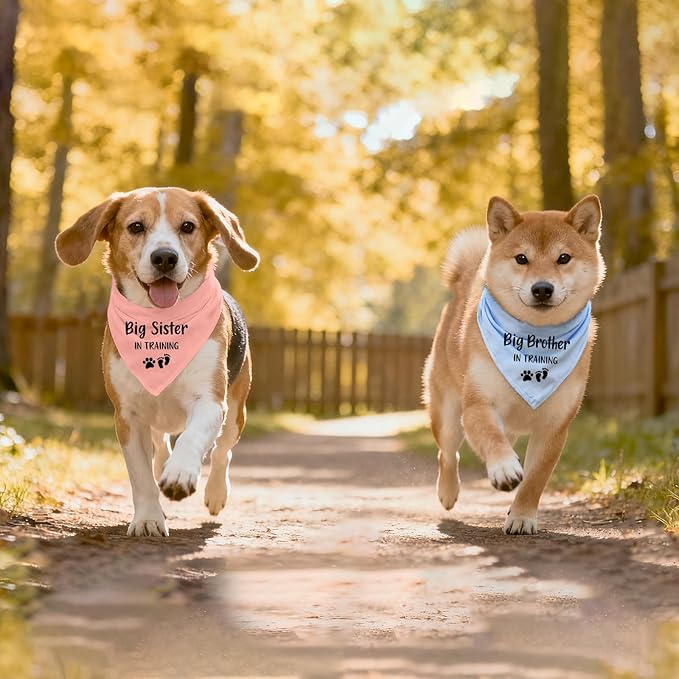 2 Pack Dog Bandana Pregnancy Announcement, Big Brother Sister in Training Gender Reveal Puppy Dog Scarf Accessories, Adjustable Pet Bandana Scarf for Small Medium Large Dogs