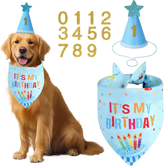 Dog Birthday Party Supplies with Hat Bandana Numbers, Light Blue Dog Birthday Set for XLarge Large Pets Puppy Boy