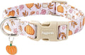 Faygarsle Fall Pumpkin and Leaves Pattern Dog Collar with Charm, Adjustable Pet Neckwear, Pink and Orange for Small Medium Large Dogs XS