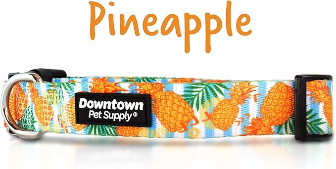 Downtown Pet Supply - Best & Fancy Dog Collar - Lightweight Adjustable with Quick Buckle & D-Ring - Hand Wash Safe - Pineapple - Large