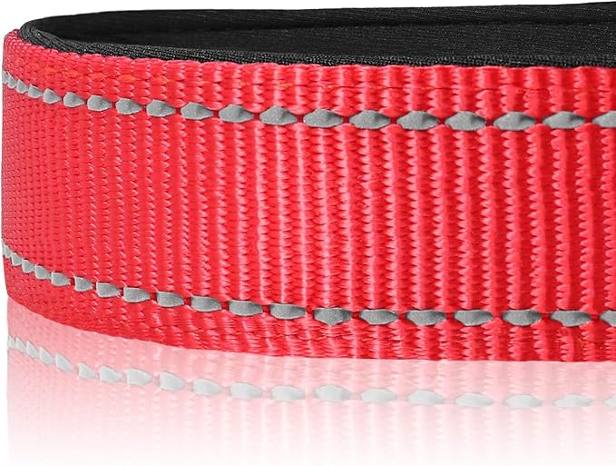 Joytale Reflective Dog Collar, Soft Neoprene Padded, Metal D-Ring, Nylon Pet Collar Adjustable for Extra Large Dogs, Red, XL