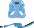 Best Pet Supplies Voyager Step-in Air All Weather Mesh Harness and Reflective Dog 5 ft Leash Combo with Neoprene Handle, for Small, Medium and Large Breed Puppies - Set (Baby Blue), S