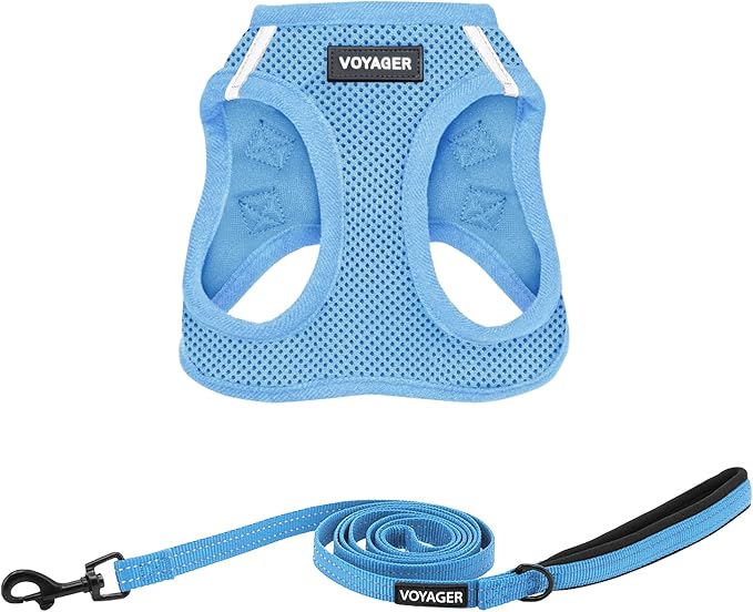Best Pet Supplies Voyager Step-in Air All Weather Mesh Harness and Reflective Dog 5 ft Leash Combo with Neoprene Handle, for Small, Medium and Large Breed Puppies - Set (Baby Blue), XXS