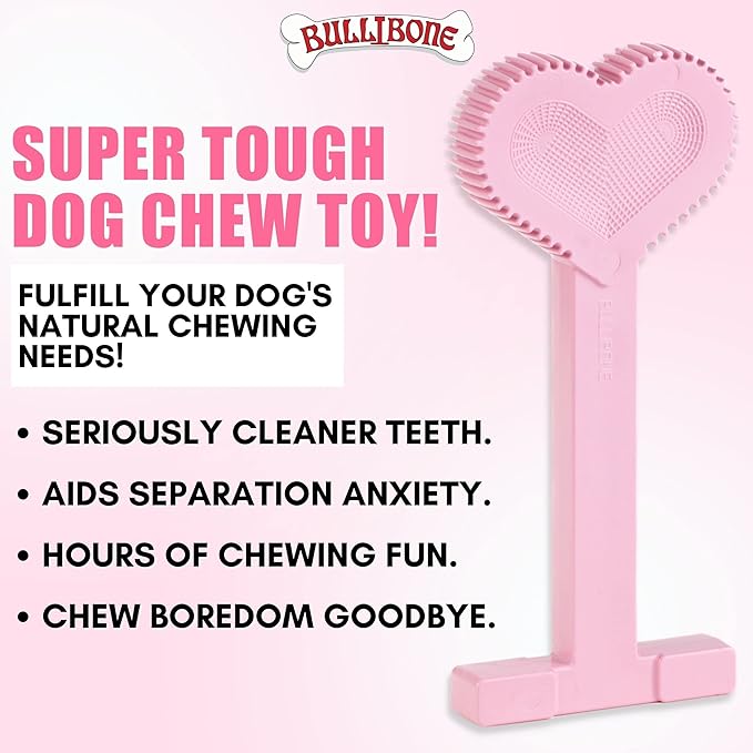 Bullibone Nylon Dog Chew Toy for Aggressive Chewers - Dental Hygiene Bone with Peppermint Flavor, Durable Tough Chew Toys for Small Dogs, Indestructible Dog Bone - 3 Pack