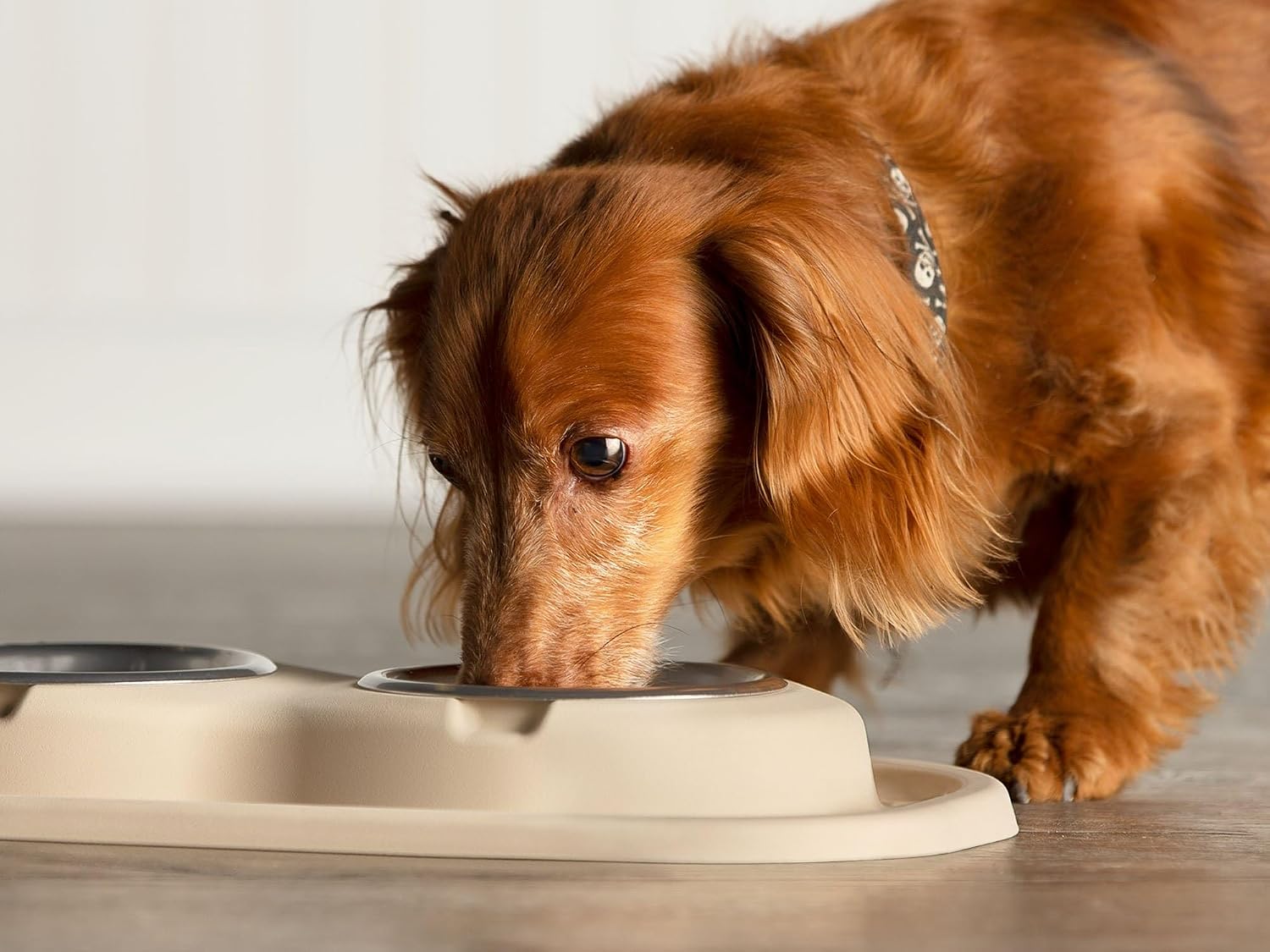 WeatherTech Double Low Pet Feeding System w/Plastic Dog/Cat Bowls - 16 oz (2 Cups) Light Grey (PDL1602LG)