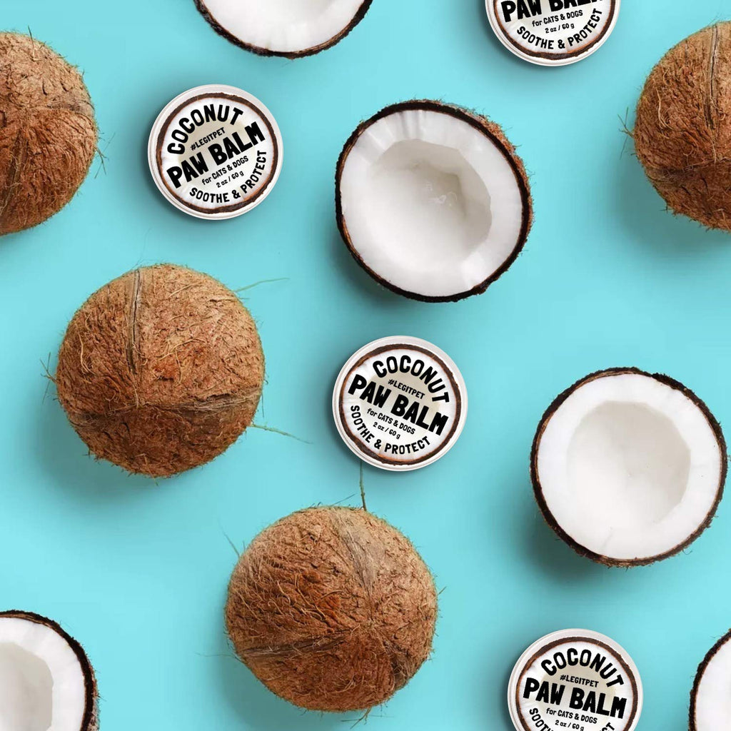 Coconut Paw Balm for Dogs by legitpet