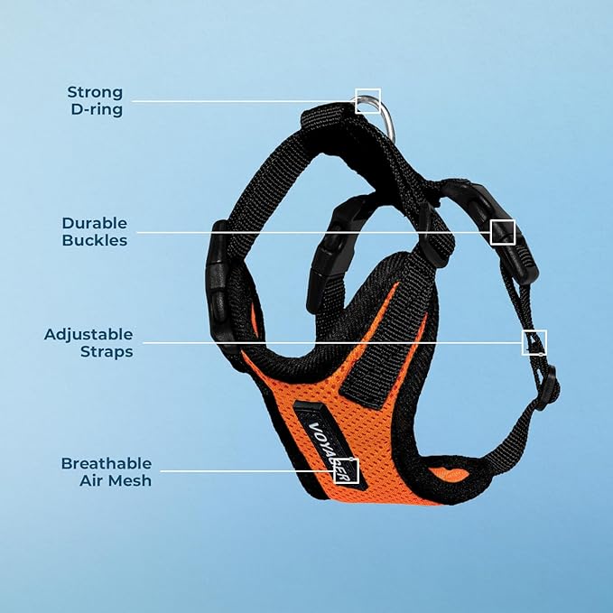 Voyager Step-in Pet Harness - All Weather Mesh, Adjustable Step in Harness for Cats and Dogs by Best Pet Supplies - Orange/Black Trim, M