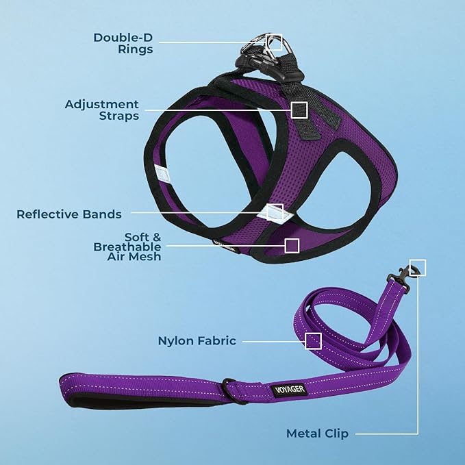 Best Pet Supplies Voyager Step-in Air All Weather Mesh Harness and Reflective Dog 5 ft Leash Combo with Neoprene Handle, for Small, Medium and Large Breed Puppies - Purple/Black Trim, Large