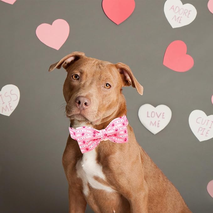 Lionheart Glory Dog Bow Collar - Valentine's Day Collar for Small Dogs, Pink with Bowtie