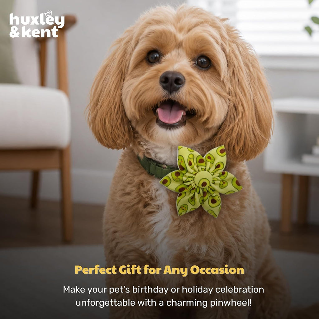 Huxley & Kent Pinwheel Collar Bow for Dogs & Cats, Happy Avocados, Small | Clips to Any Collar with Hook & Loop, Soft, Lightweight, Machine Washable, Great for Holidays, Photos & Gifting