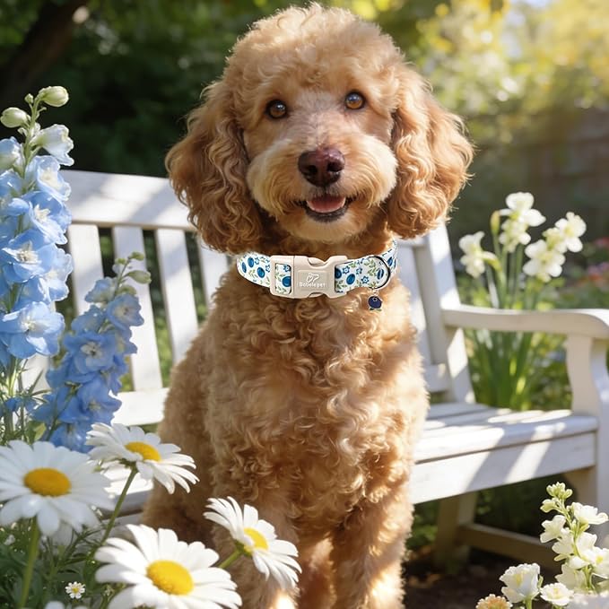 Spring/Summer Dog Collar for Large Dogs - Fresh Blueberry Girl Boy Dog Collars, Soft Lightweight Puppy Collar, Breathable Adjustable Male Female Fruit Floral Dogs Collars XL