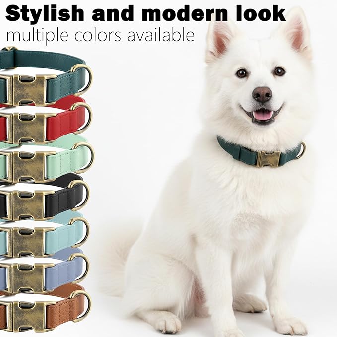 Silicone Dog Collar and Leash Set, Waterproof & Odor-Proof Puppy Collar for Small Dogs, Soft Flexible Leather-Look Dog Collars, Durable Thick Adjustable Pet Collar (Red, Small (9-14" Neck))