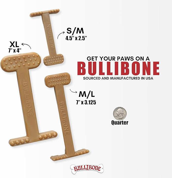 Bullibone Nylon Dog Chew Toy for Aggressive Chewers - Dental Hygiene Bone with Beef Flavor, Durable Tough Chew Toys for Small Dogs, Indestructible Dog Bone - Single