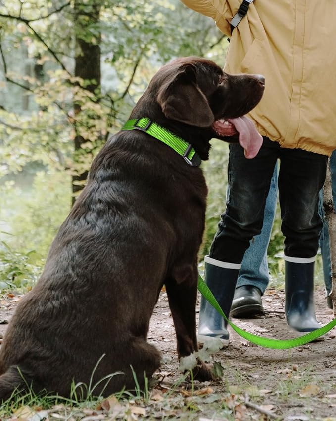 TagME Reflective Nylon Dog Collars, Adjustable Classic Collar with Quick Release Buckle for Extra Large Dogs, Green, 1¼" Width