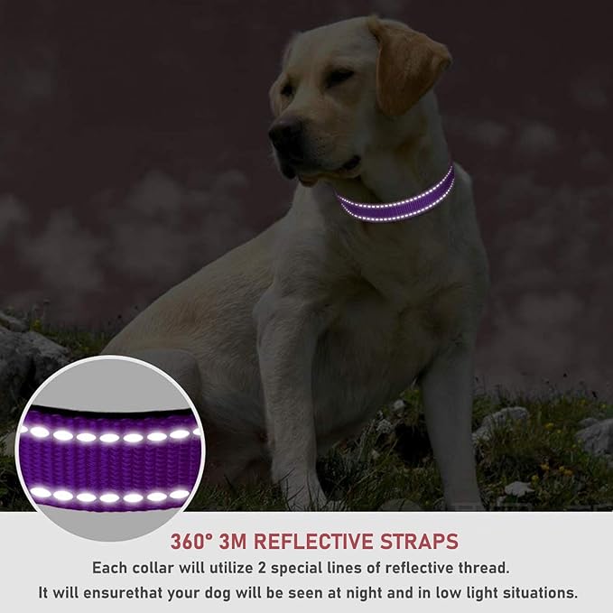 Reflective Dog Collar with Buckle Adjustable Safety Nylon Collars for Small Medium Large Dogs, Purple S