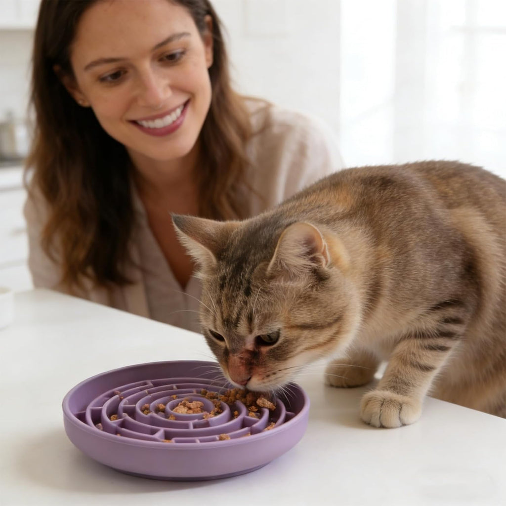 Silicone Slow Feeder Bowl with 37 Non-Slip Suction Cups — Anti-Choking Maze Design, Slows Eating 10x, Anxiety Relief, BPA-Free, for Small & Medium Dogs and Cats (Purple)