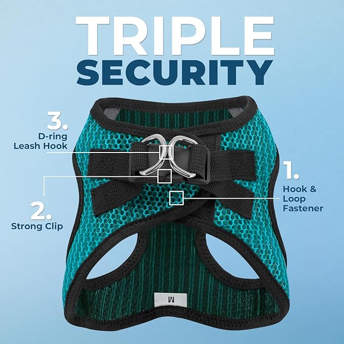Best Pet Supplies - All Weather Mesh/Plush, Reflective, No Pull Harness for Small, Medium Dogs, Cats - Secure with Hook & Loop Fastener, Buckle, Double D-Rings - Turquoise 2-Tone, XL