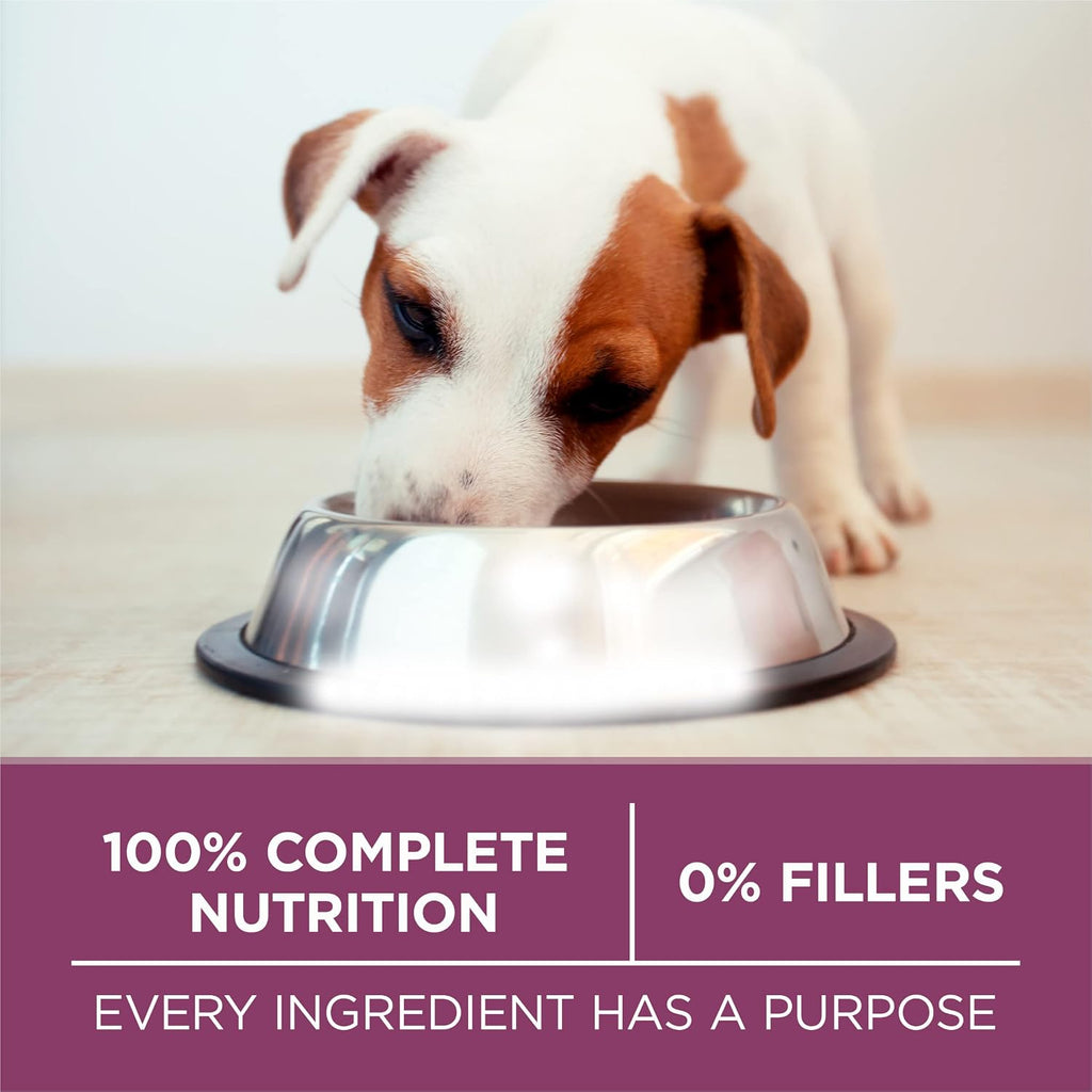 Purina ONE Plus Healthy Puppy Dry Food, Chicken, 31.1 lb Bag | High protein formula with real chicken, DHA to support vision and brain development and antioxidants for immune support