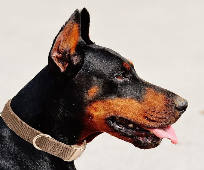 Soft Cotton Dog Collar with Metal Buckle Adjustable Heavy Duty Comfy Corduroy Collars for Small Medium Large Dogs,Brown,Large