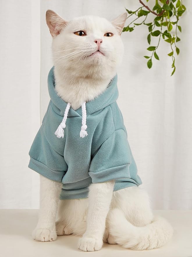 QWINEE Basic Dog Hoodie Sweatshirt Puppy Sweater Warm Cat Costumes Pet Clothes for Chihuahua Puppy Kitten Small Medium Dogs Black Green and Grey Small