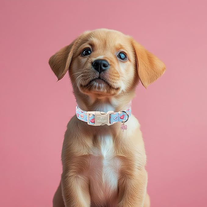 Valentines Dog Collar for Large Dogs - Valentine Candy Hearts Dog Collars, Love Boy Girl Dogs Collars, Lightweight Adjustable Cute Blue Puppy Collar with Quick-Release Buckle L